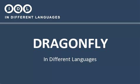 dragonfly in kannada|Dragonfly in Different Languages. Translate, Listen, and .